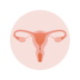 uterus-menopause