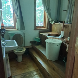 Regular toilet